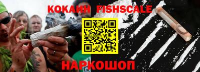крисы Бийск