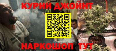 крисы Бийск