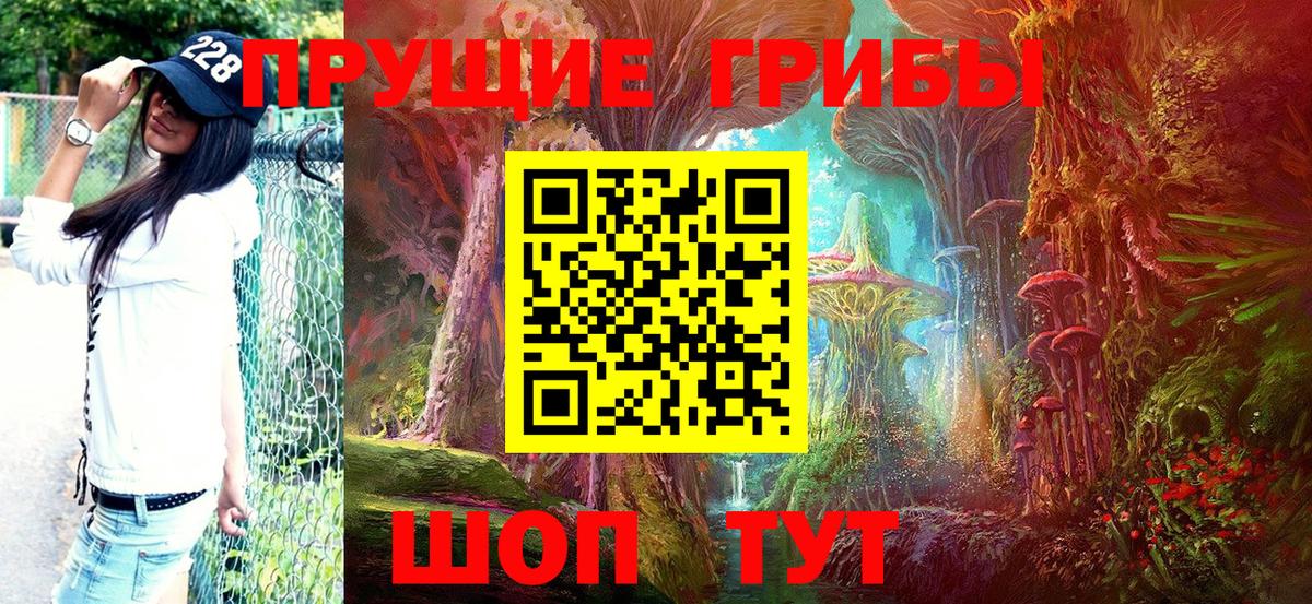 Псилоцибиновые грибы Cubensis Качканар