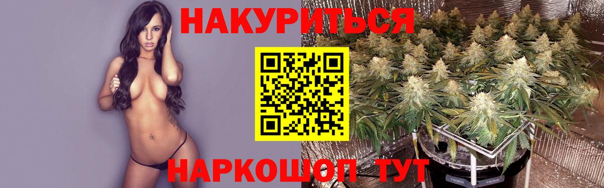 Качканар  МАРИХУАНА сатива  Вход с VPN  Бошки Шишки AK-47  Бошки марихуана марихуана 